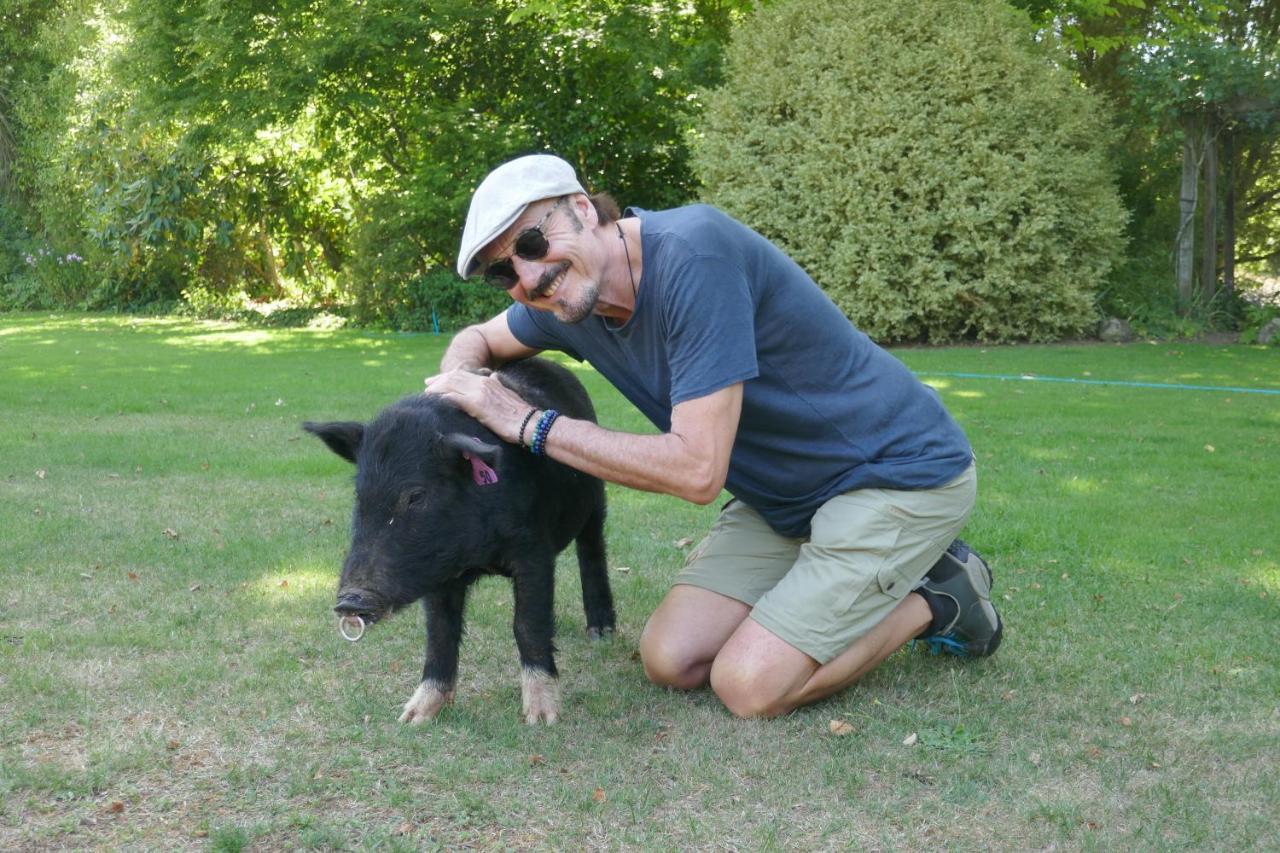 Karetu Downs Farm Stay Hawarden Zewnętrze zdjęcie
