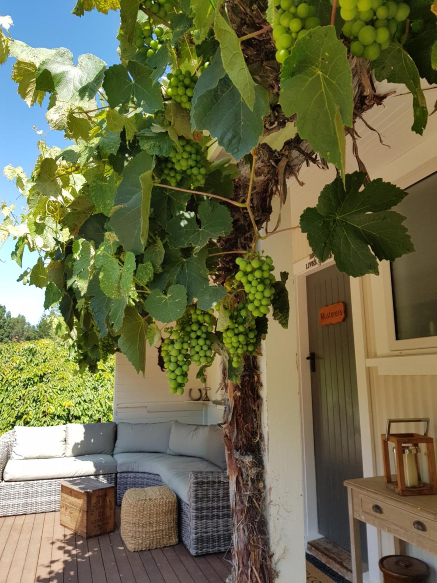 Karetu Downs Farm Stay Hawarden Zewnętrze zdjęcie
