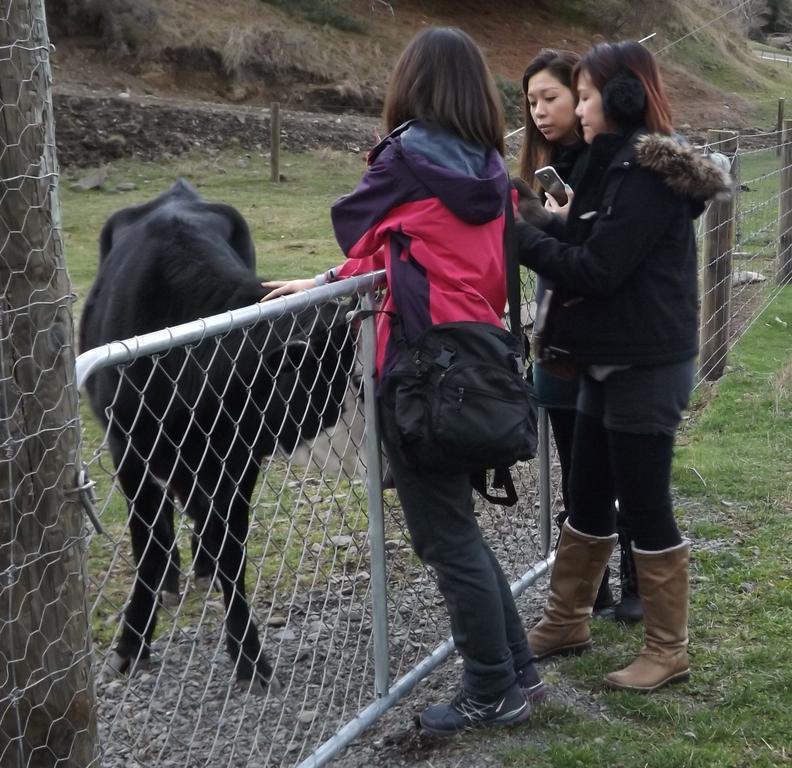 Karetu Downs Farm Stay Hawarden Zewnętrze zdjęcie