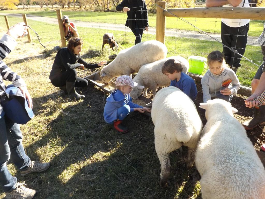 Karetu Downs Farm Stay Hawarden Zewnętrze zdjęcie
