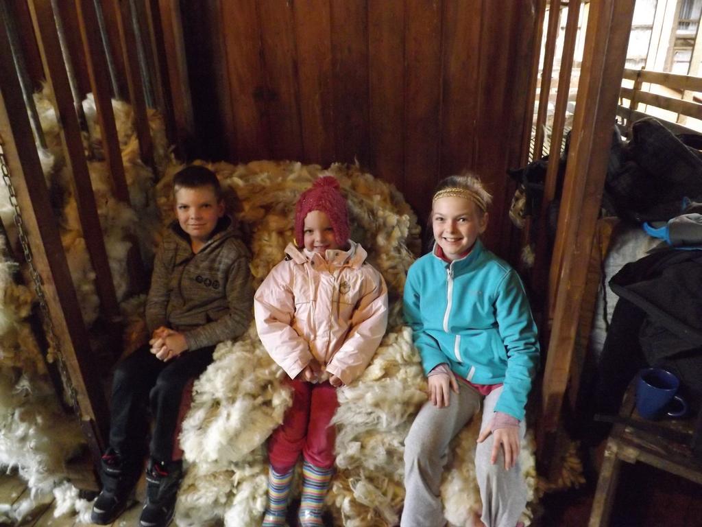 Karetu Downs Farm Stay Hawarden Zewnętrze zdjęcie