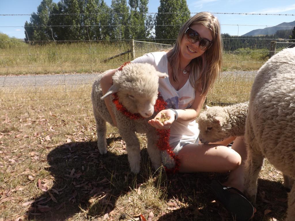 Karetu Downs Farm Stay Hawarden Zewnętrze zdjęcie
