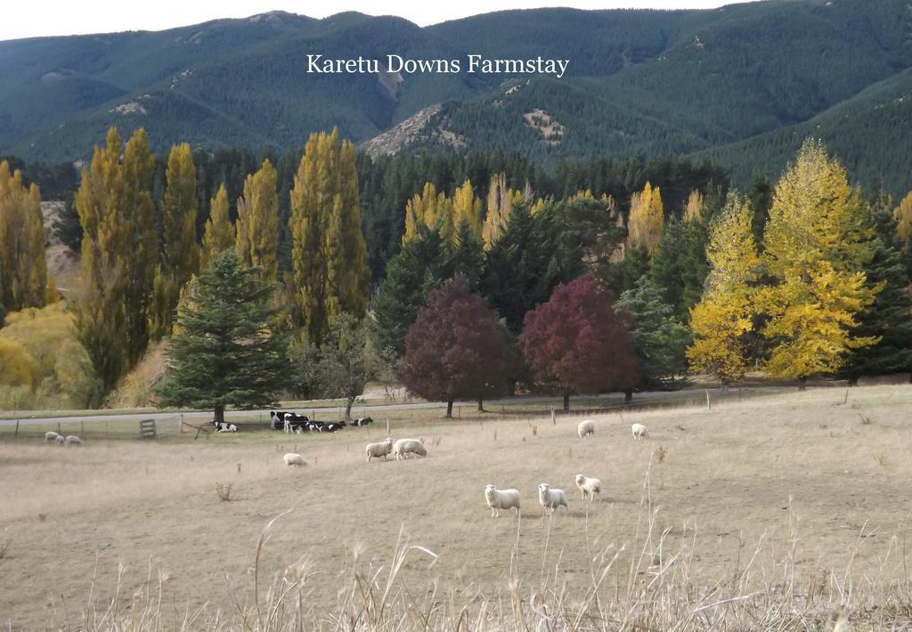 Karetu Downs Farm Stay Hawarden Zewnętrze zdjęcie