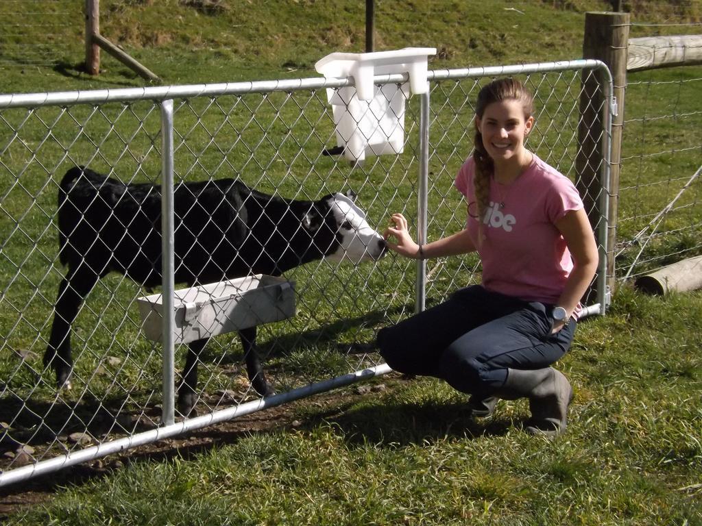 Karetu Downs Farm Stay Hawarden Zewnętrze zdjęcie