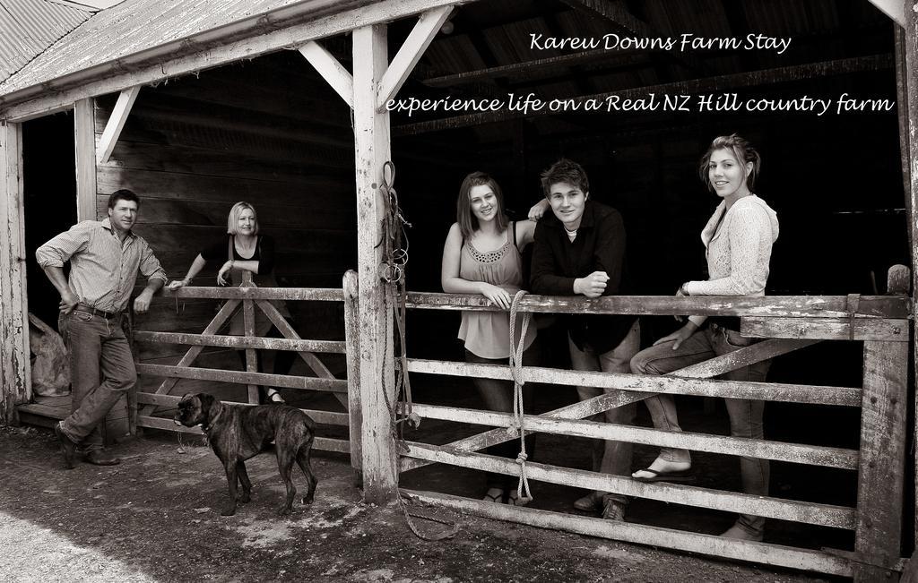Karetu Downs Farm Stay Hawarden Zewnętrze zdjęcie
